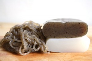 KONJAC BIO 